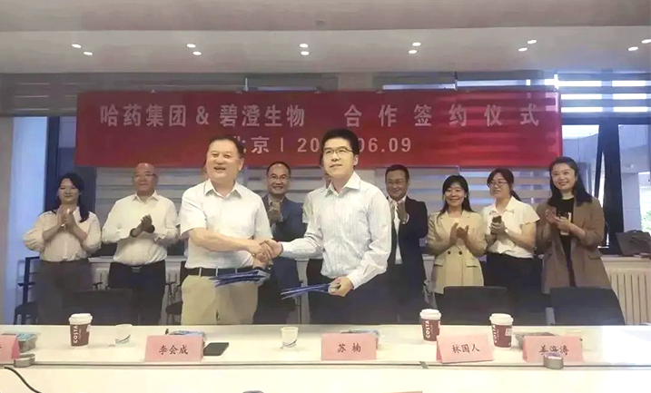 哈药携手清华大学，强强联合共创胶原蛋白行业未来